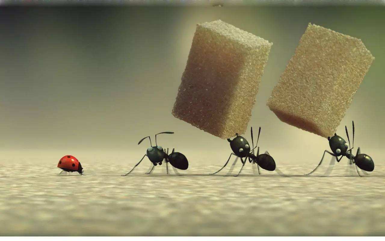 蚂蚁出装，蚂蚁出装顺序dota